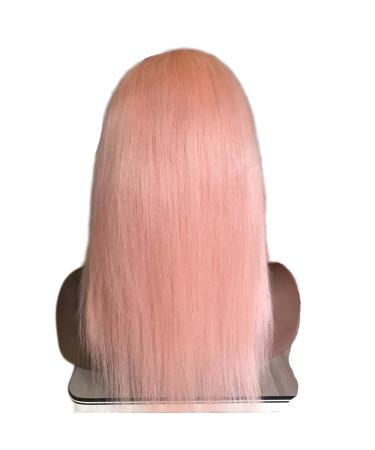Shop Malaysian Human Hair Lace Front Wigs - Silky Straight 14 Inch with Baby Hair in Nude Pink for Women - Buy Online on GoSupps.com