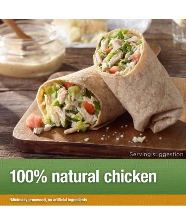 Valley Fresh 100% Natural Chicken Breast in Broth 10 oz - Premium Quality Option - Buy Online on GoSupps.com
