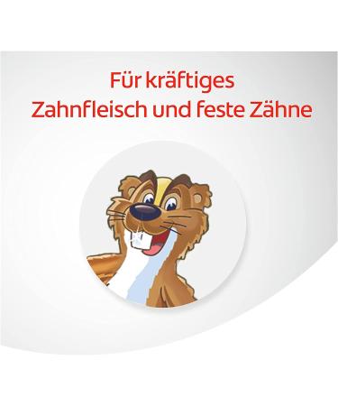 Dentagard Toothpaste Original 75ml - Plaque Removal Gum Strengthening & Caries Protection with Herbal Extracts - Buy Online on GoSupps.com