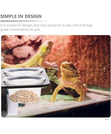 Balacoo Gecko Feeding Cups 1 Set Gecko Feeding Ledge Reptile Tank Supplies Suction Cup Reptile Feeder Reptile Feeding Platform for Reptile Lizard Gecko Home Crested Gecko Food Ledge - Buy Online on GoSupps.com