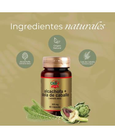 Obire Artichoke + Horsetail Ext Dry 300 Mg 60 Cap - Buy Online on GoSupps.com