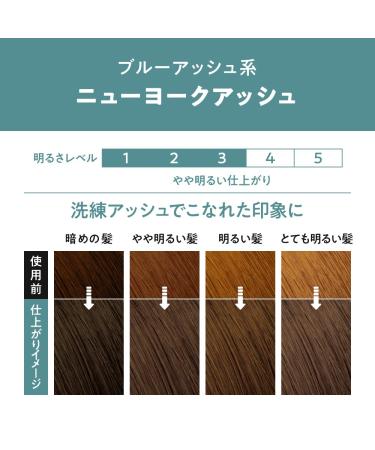 Liese Prettia Bubble Hair Dye in New York Ash - 8 Ounce (Pack of 1) - Buy Online on GoSupps.com