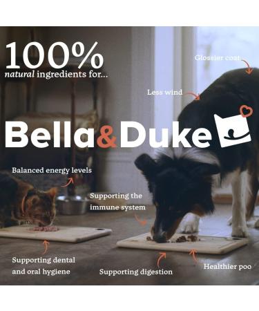 Bella & Duke Venison Dog Snack - Natural Dental Stick Alternative - Grain-free, High Protein, Hypoallergenic Chew for Cleaner Teeth and Plaque Prevention - Buy Online on GoSupps.com