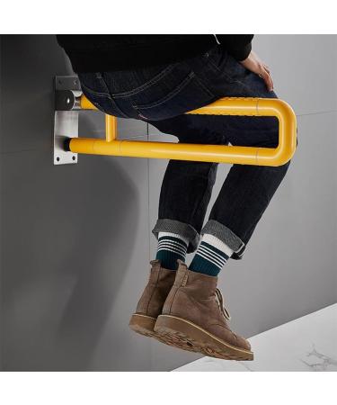 Toilet Support Rail Stainless Steel Flip Up Handicap Safety Grab Bar Rails Wall Mounted Toilet Support for Elderly Disabled Pregnant Shower Assist Aid(White 80cm) 80cm White - Buy Online on GoSupps.com