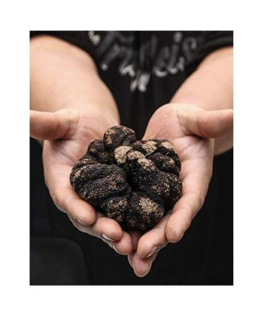 The Truffleist Black Truffle Olive Oil 8.5 Fl Oz - Premium Truffle Infused Oil - Buy Online on GoSupps.com