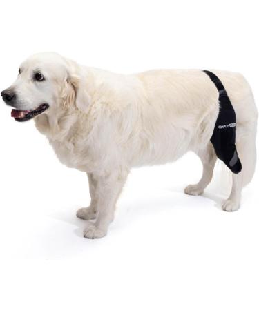 Ortocanis - Knee Brace for Dogs with Ligament Rupture and Patella Luxation Size XXS Right Leg Right leg Size XXS - Buy Online on GoSupps.com