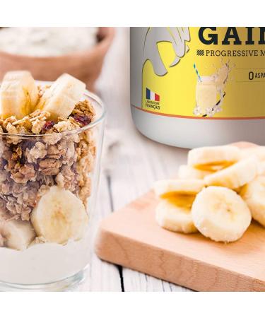 LEAN GAINER + 50% Bi Source Native Protein Enriched with Minerals Progressive Mass Gain Optimized Recovery Vanilla 1.5 kg Eric Favre - Buy Online on GoSupps.com