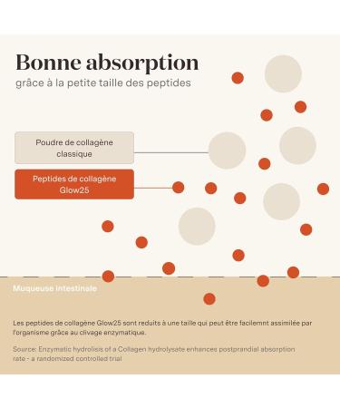 Glow25 The Original Vanilla Collagen Powder 450 g - Premium Collagen Hydrolysate - Peptides Type 1 and 3 - Perfect Solubility - Buy Online on GoSupps.com