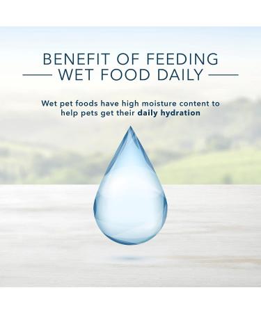 Blue Buffalo Homestyle Recipe Natural Wet Dog Food Large Breed Chicken 12.5oz (Pack of 12) - Buy Online on GoSupps.com