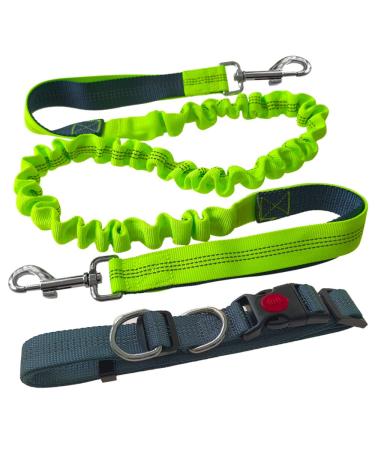 Aiqeer Hands Free Dog Leash Grey Adjustable Waist Belt and Green Retractable Bungee Leash Jogging Dog Leash with Reflective Stitching