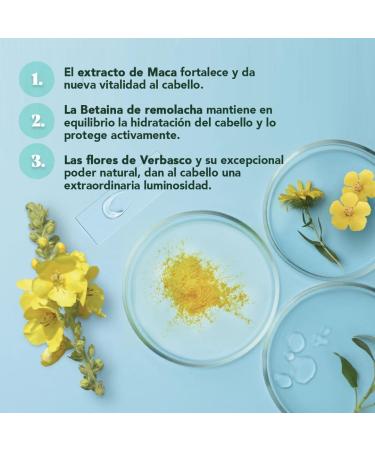  Herbatint Herbatint Hydrate Ultra Moisturizing Shampoo - 260ml | Organic Shampoo Ideal for Thirsty Dry & Dehydrated Hair | Exclusive Formula 97% Naturally Derived Ingredients Cosmos - Buy Online on GoSupps.com