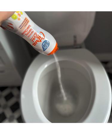 Set of Wild Berry + Citrus Zest Foaming Toilet Cleaner Amazing Fragrance Deep Cleaning Action Powder Cleaning Foam and Extra Freshness Toilet Cleaner (370g) - Buy Online on GoSupps.com