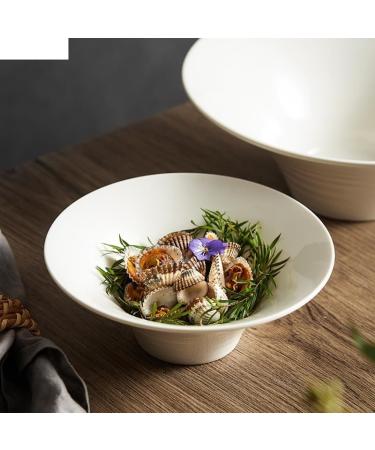 Porcelain Dinner Plates Ceramic Dinner Bowl Fruit Salad Bowl Tableware Bread Dessert Pastry Plate Restaurant Ramen Pasta Seafood Plate Soup Basin Kitchen Dinner Plates(10 inch) (10 inch One Size) - Buy Online on GoSupps.com