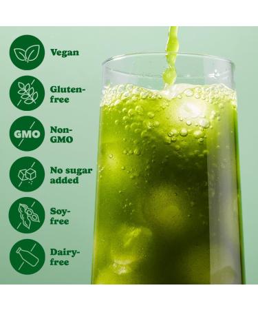 Good Protein Greens Superfood Powder Juice - 100% Natural Digestive Enzyme Greens Powder | Vegan Non-GMO Gluten Free Vitamins Green Powder - Organic Alfalfa Wheat Barley Grass Spirulina Powder | 225g Green Apple green Apple 225 g (Pack of 1) - Buy Online on GoSupps.com