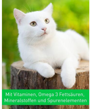 Vetoquinol Calo-Pet Paste Pack of 3 x 120g Paste Food Supplement for Dogs and Cats Use in Cases of High Nutritional Needs to Compensate for Deficiency Symptoms - Buy Online on GoSupps.com