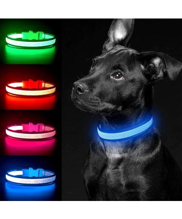 Yfbrite Rechargeable LED Dog Collar - Adjustable Reflective Safety Collar Flashes at Night (Blue Size S) - Buy Online on GoSupps.com