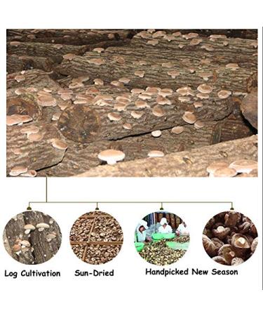 Premium Top Grade Organic Dried Shiitake Mushrooms - 3oz | Natural Grown & Wild Harvested - Buy Online on GoSupps.com