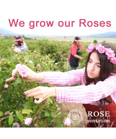 Buy RoseSensation Shower Gel for Women | Anti-Aging Rosewater & Rose Oil | Hydrating for Dry & Sensitive Skin | Calm & Relax - Buy Online on GoSupps.com