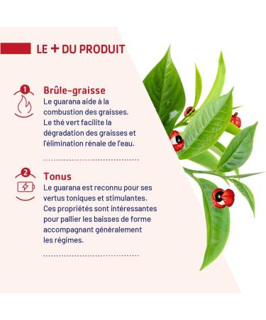 JUVAMINE - Fat Burner - Guarana Green Tea - Slimming and toning action - Food supplement - MAXI FORMAT - 120 Capsules - Made in France - Buy Online on GoSupps.com