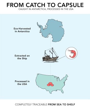 Sports Research SUPERBA Boost Antarctic Krill Oil 1000 mg - 30 Softgels with Astaxanthin - Buy Online on GoSupps.com