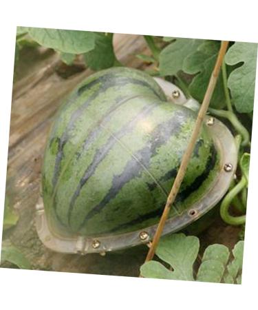 HOMSFOU Fruit Shaping Molds Vegetables Transparent Strawberry Forming Shaping Mould Garden Shaping Molds Fruit Watermelon Moss 17x17cm Transparent - Buy Online on GoSupps.com