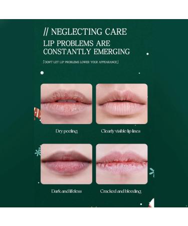 Moily Moisturizing Fruit Lip Balm Assortment 6 Pack Bulk Set with Strawberry Coconut Ideal Holiday Gift Multicolor One Size One Size Multicolor - Buy Online on GoSupps.com