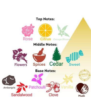 Rose Oud 12 ml - METAL | Premium Perfume Oil | Attar Oil | Alcohol-Free | Vegan & Cruelty-Free Rose - METAL 0.4 Fl Oz (Pack of 1) - Buy Online on GoSupps.com