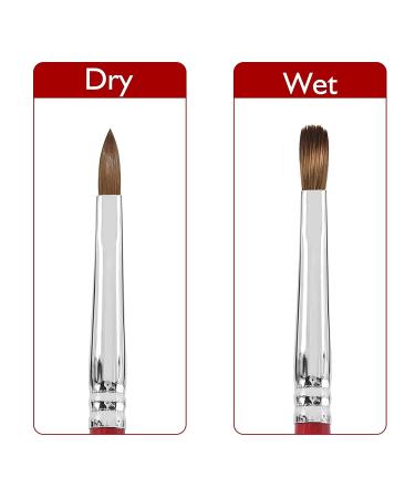 Accmor Size 2 Kolinsky Acrylic Nail Brush - Professional 3D Nail Art Brush for Acrylic Powder - Salon Quality - Red - Buy Online on GoSupps.com