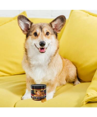 GastroBalance Constipation Relief for Dogs - 60 Soft Chews | 100% Natural Laxative for Dogs - Fast Shipping Worldwide - Buy Online on GoSupps.com