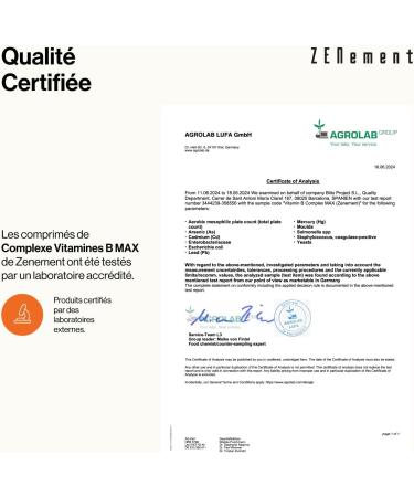 Vitamin B MAX Complex 365 Tablets | 8 B Vitamins + Choline & Inositol | Helps Reduce Fatigue and Contributes to Good Mental and Immune System Function | Vegan | Zenement - Buy Online on GoSupps.com