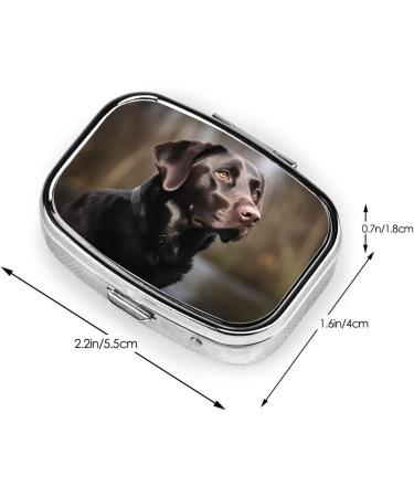 Labrador Retriever Pill Case - Cute 2 Compartment Travel Organizer for Purses | Small Pill Box Gifts - Buy Online on GoSupps.com