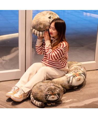 OUKEYI 15.7in/ 40cm Cat Plush Toy Cat Pillow Cute Steppe Cat Stuffed Animals Fat Cat Kawaii Pillow Stuff Kitten Plush Throw Pillow Doll Big Plush Toys Gift for Girls Boys Girlfriend - Buy Online on GoSupps.com