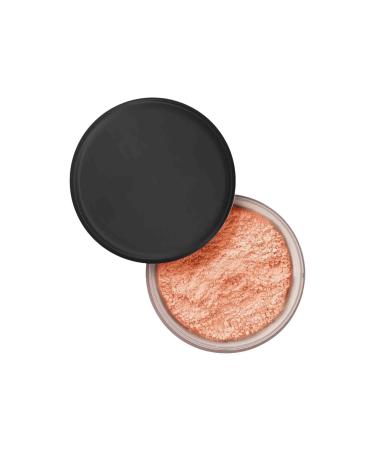 AllauraBeauty Blurring Powder Pink Pink Blurring Powder for All Skin Tones Travel Size Blurring Setting Powder (03# Large) 03# 40 g (Pack of 1)