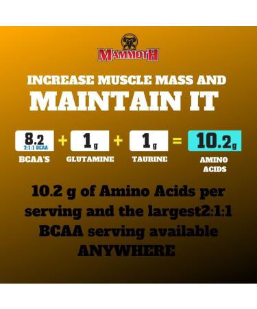 Mammoth BCAA 40 serve - Peach Mango 520 gram Peach Mango 520 gram - Buy Online on GoSupps.com
