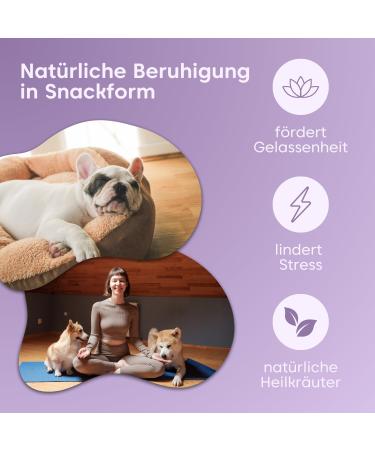 Pfot Buddies Seelenyoga - Soothing Natural Snacks for Dogs with Valerian & Johanniskraut | Stress Relief for Travel & New Year's Eve - Buy Online on GoSupps.com