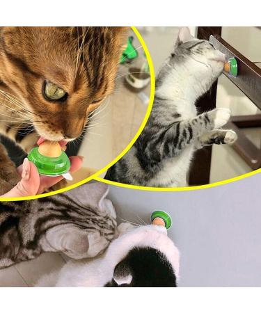 Cat Snacks Catnip Sugar Energy Lick Balls Nutrition Snacks Cat Treats Natural Licking Sugar Snacks Balls 10 Pieces - Buy Online on GoSupps.com