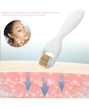 Healeved Derma Roller Scalp Hair Roller Micro-needle Roller Massager with 3 Size Needle Head 0.25mm 0.5mm 1.0mm for Hair Beard Facial Skin Face Cosmetic Beauty Instrument - Buy Online on GoSupps.com
