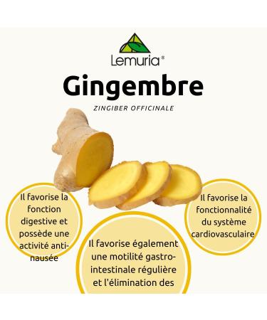 Lemuria - Concentrated Total GINGER Extract (Ginger) 30ml Anti-Nausea Anti-Inflammatory Facilitates Digestion Remedy Against Seasickness Reduces Pain - Drops 30ml - Liquid Form - Buy Online on GoSupps.com
