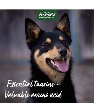 AniForte Taurine for Dogs 100g - Amino Acid Supplement for Muscle Tremors & Nerve Function - Buy Online on GoSupps.com
