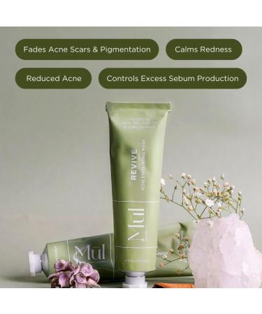 Revive Exfoliating Acne Face Mask & Scrub - 3.4 fl.oz | 2% Salicylic Acid & Aloe Vera for Oily Combination Skin - Treat Acne Prone Skin International Shipping - Buy Online on GoSupps.com