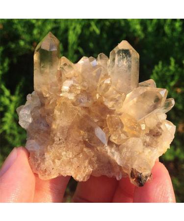 Crystal Rough Natural Crystal Rough Natural Lemon Yellow Quartz Crystal Original Stone Cluster Quartz Specimen Stone Smoked Yello Crystal Cluster Decoration 1pcs 60g--70g - Buy Online on GoSupps.com