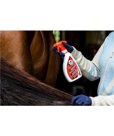 RL24 LeoVet 5-Star Horse Spray - Manage Itching & Dry Skin | Gloss & Easy Combability | 2 x 550ml | Protection Against Dirt - Buy Online on GoSupps.com
