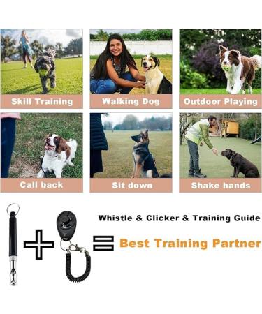 Dog Training Kit Puppy Dog Treat Pouch Bag with Dog Clicker and Silent Whistle with Lanyard Hands-Free Training Dog Treat Pouch Includes Carabiner for Pet Puppy Travel or Outdoor Use (Red) Red-2 - Buy Online on GoSupps.com