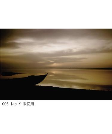 Cokin Square Red (Z003) Filter - 3 1/3-Stop for L Series Holder - 100mm X 100mm - Buy Online on GoSupps.com