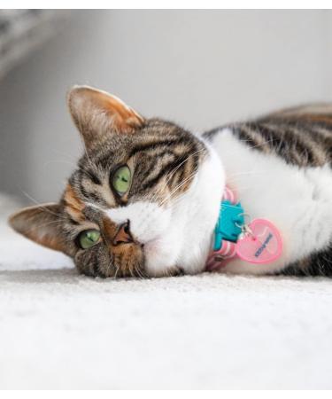 Kittyrama Reflective Cat Pendant | Security Cat Brand | Waterproof Light & Visible | Fits All Reflective Cat Neck Bands | Heart Styles Available - Buy Online on GoSupps.com