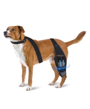 Dog Knee Brace Pet Puppy Knee Pads Dog Leg Knee Brace Straps Dog Accessories Adjustable Dogs Support Belt for Joint Injury Recovery Legs (Color : Black Size : Medium) Medium Black