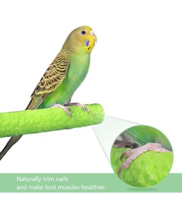 6Pcs Wood Bird Scrub Perch Platform Funny Bird Paw Grinding Stick Wooden Love Bird Parrot Perches Stand Colorful Bird Cage Grinding Perch for Parrot Toy (Random Color) - Buy Online on GoSupps.com