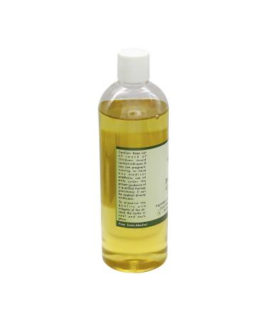 R V Essential Pure Castor Carrier Oil 200ml (6.76oz)- Ricinus Communis (100% Pure & Natural Cold Pressed) 6.76 Fl Oz (Pack of 1) - Buy Online on GoSupps.com