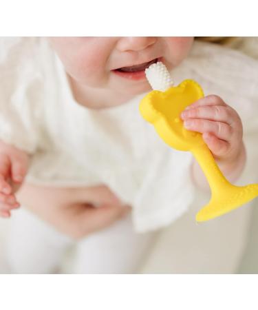 Oogiebear 360 Toothbrush - Baby Training Toothbrush with Teddy Bear Gum Relief | Ultra Soft Silicone, BPA Free | Baby Must-Have - Buy Online on GoSupps.com