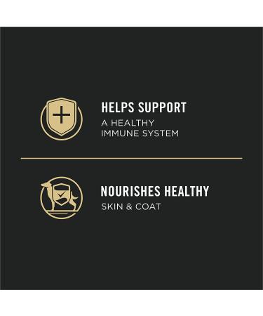 Purina Pro Plan High Protein Wet Puppy Food - Chicken & Rice - 12 Pack (13 oz. Cans) - Buy Online on GoSupps.com